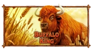 Buffalo King